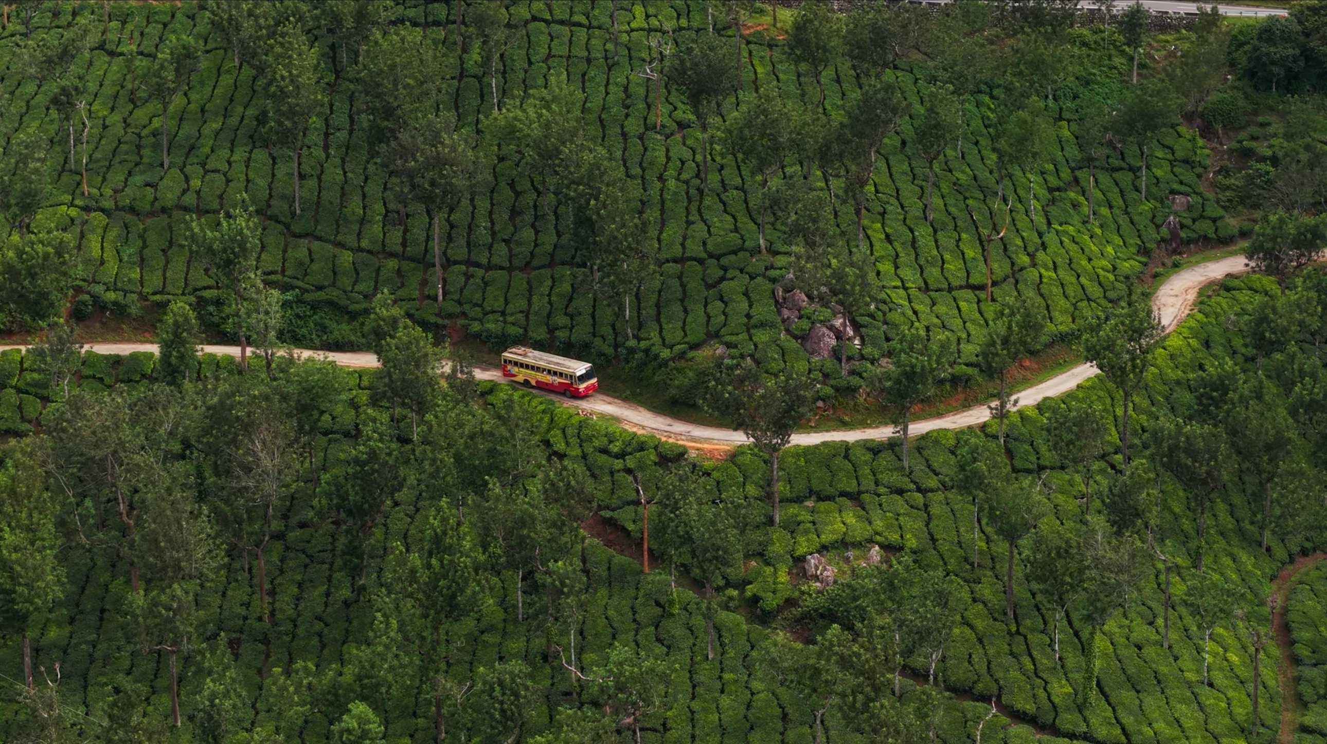 Gallery image 1 Gallery image 1